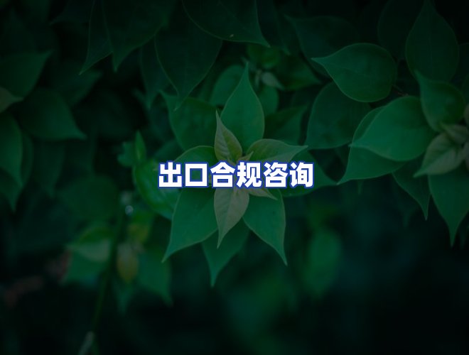 专业团队